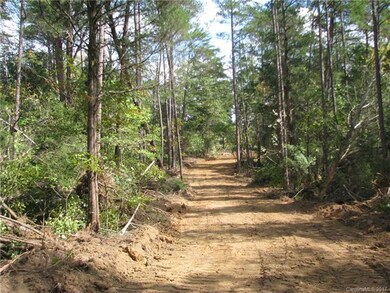 Road Thru Pines