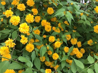 Welcome home to beautiful spring blooms, sunny veg
