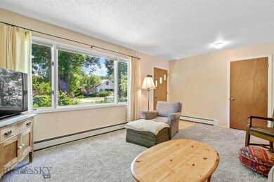 503 S 8th Ave, Bozeman, MT 59715 - photo 7