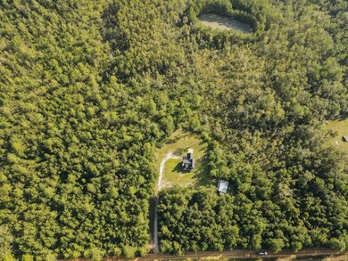 3193 Old Thomasville Rd, Dixie, GA 31629 - photo 7