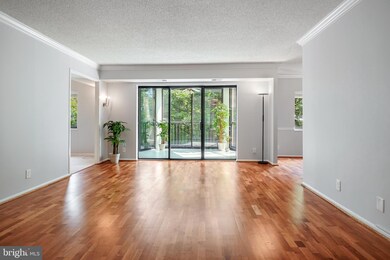 5901 Mount Eagle Dr unit 108, Alexandria, VA 22303 - photo 4