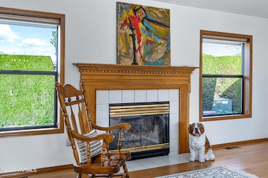 Living Room Fireplace