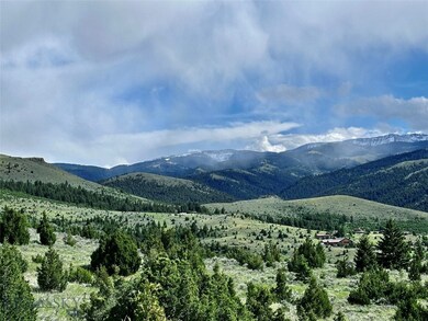 TREES - mostly firs and junipers