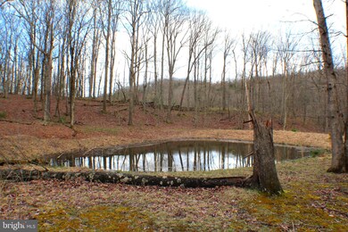 Lot 33 Beech Ln, Capon, WV 26801 - photo 4