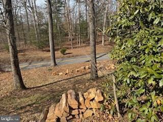 136 Cannon Hill Rd, Hedgesville, WV 25427 - photo 5