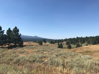 N.W. View