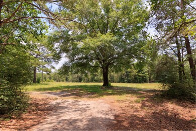 5337 Carousel Ln Crestview 3