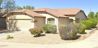 Pic 8