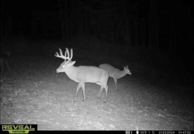 1602 Patterson Rd, Yazoo City, MS 39194 - photo 6