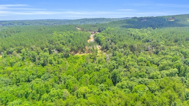 DJI_20250626022857_0176_D