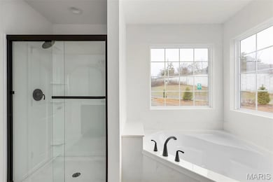 3 Sequoia at Wilmer Valley, Wentzville, MO 63385 - photo 5