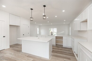 1053 Peach Blvd, Willoughby, OH 44094 - photo 7