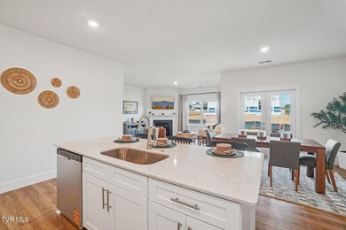 234 Artist Ave, Johnson City, TN 37615 - photo 6