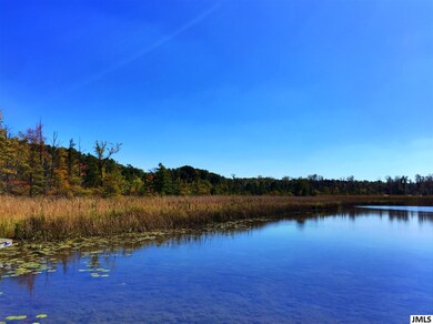 7040 Sanctuary Dr, Jackson, MI 49201 - photo 5