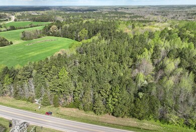 40 Courthouse Rd, Lunenburg, VA 23952 - photo 4