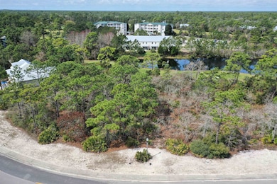 305 Royal Tern Way, Carrabelle, FL 32322 - photo 4