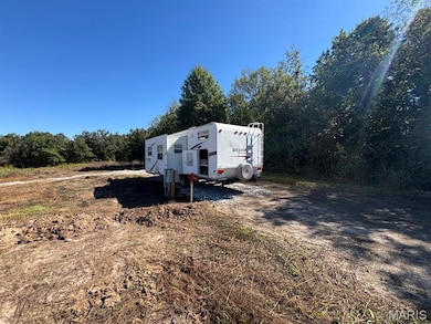 30 Leo Ln, Perry, MO 63462 - photo 5