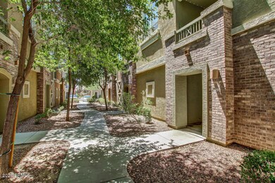 KENSINGTON FRONT TREED WALK WAY