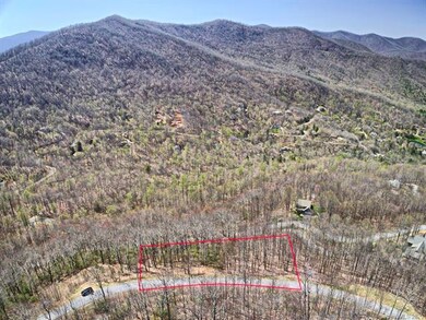 681 Blue Mist Way unit 78, Arden, NC 28704 - photo 4