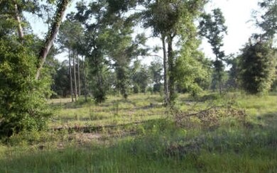 708 SW Briar Patch Terrace, Fort White, FL 32038 - photo 2