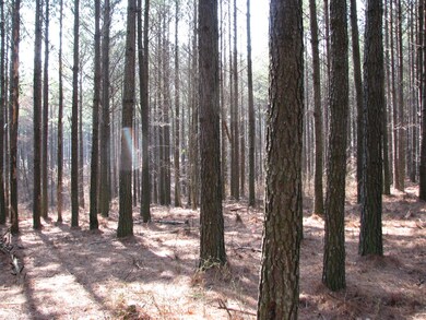 HiPntLn79_fron 1 acre near st_4