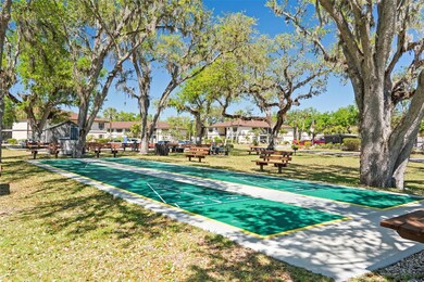 Shuffleboard player's NEW court!