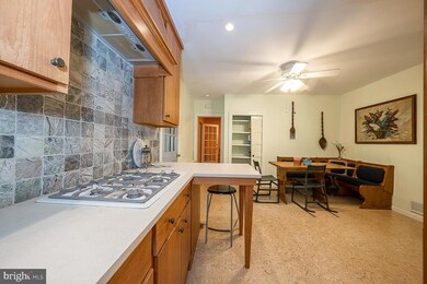 332 Kent Rd unit 206, Bala Cynwyd, PA 19004 - photo 4