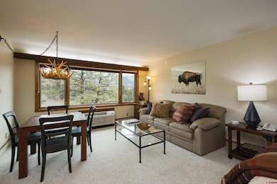 Tamarron Condos unit 213, Durango, CO 81301 - photo 2