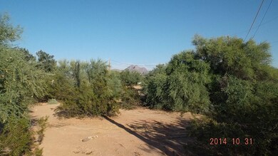 DSCF5522