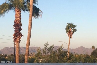 view from back yard
