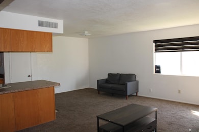 1245 W 20th Place, Yuma, AZ 85364 - photo 6