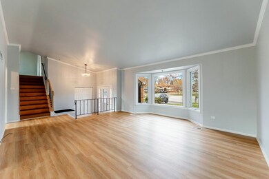 unlisted-address, Bolingbrook, IL 60440 - photo 5