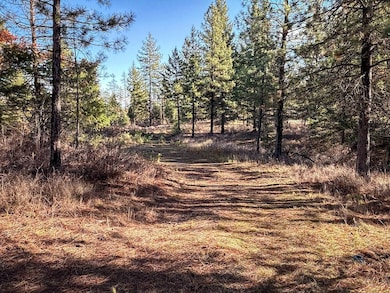 Rd, Springdale, WA 99173 - photo 3