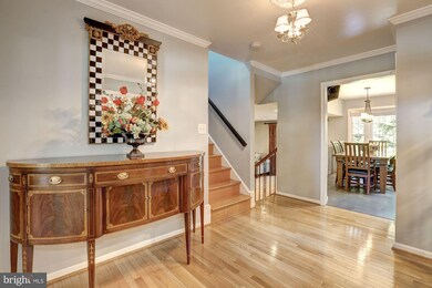 14705 Botany Way, Gaithersburg, MD 20878 - photo 6