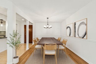 835 Judson Ave unit 305, Evanston, IL 60202 - photo 5