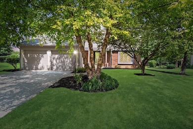 3-web-or-mls-DSC08032