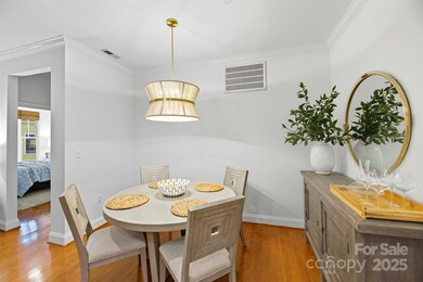 518 Clarice Ave unit 103, Charlotte, NC 28204 - photo 4