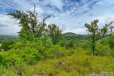 10014 Ivory Canyon, San Antonio, TX 78255 - photo 5