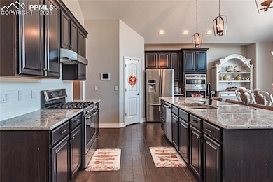 Kitchen with dark wood-type flooring, under cabine