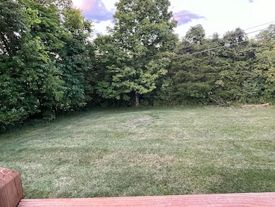 trailor back yard 2