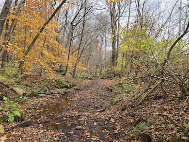 Lot 7 County Highway 6, Margaretville, NY 12455 - photo 7