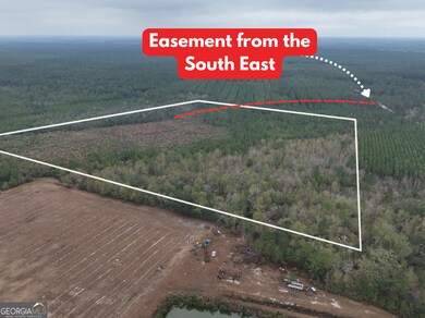 0 Off Doc McTier Rd unit 10656659, Baxley, GA 31513 - photo 4