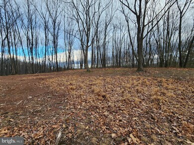 LOT-11 Deer Run Rd, Baker, WV 26801 - photo 2