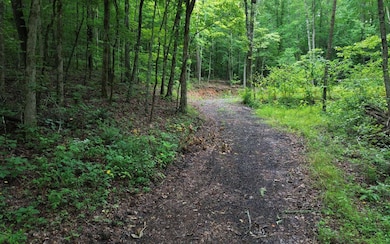 Additional View