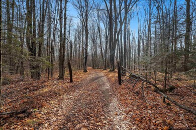 W8951 Pence Lake Rd, Deerbrook, WI 54424 - photo 7