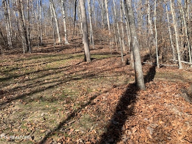 0 Mountain Shores Rd, New Tazewell, TN 37825 - photo 3