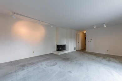 Wood Burning Fireplace