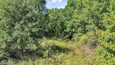 View of local wilderness