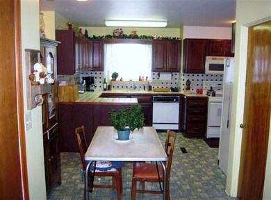 8846 Aura St, Kaleva, MI 49645 - photo 5