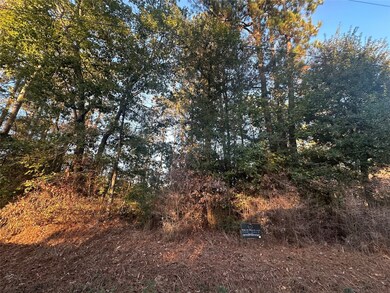 TBD Royal Shores Dr, Conroe, TX 77303 - photo 5